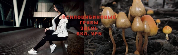 мескалин Баксан