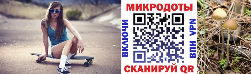 Псилоцибиновые грибы Cubensis  хочу наркоту  Минеральные Воды 