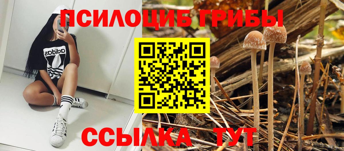 Псилоцибиновые грибы ЛСД  Вход с VPN  Галлюциногенные грибы прущие грибы  Минеральные Воды 